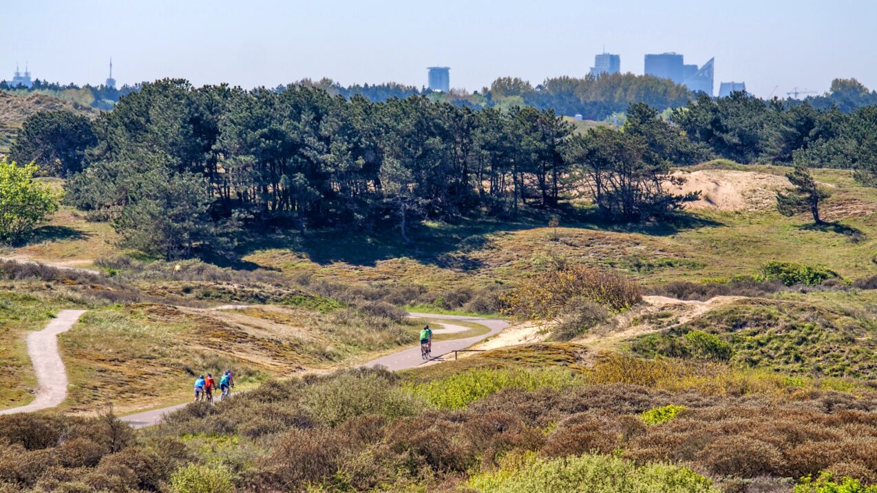 Cyclist coastal Dunes Holland HDR