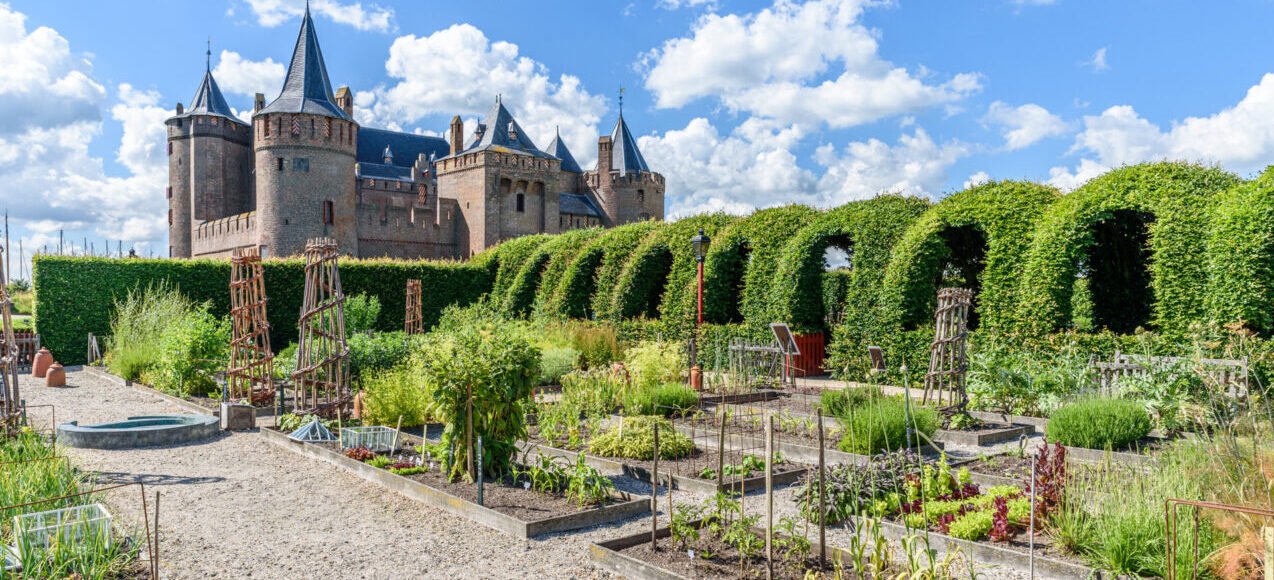 Vegetable gardens of Muiderslot castle