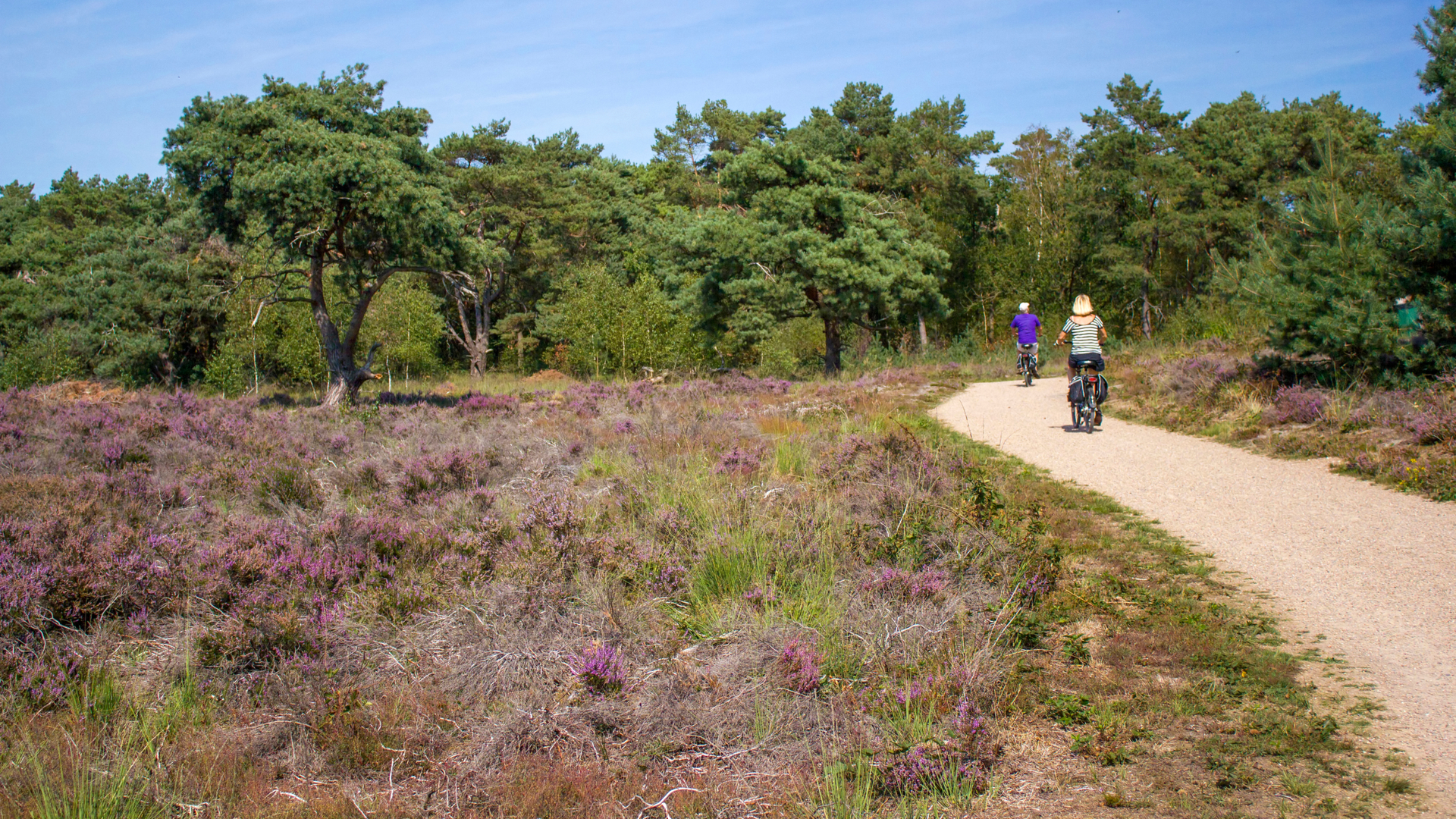 Cyclist National Park Hoge Veluwe